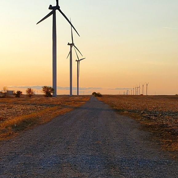 ⚾️⚾️ PLEASE.... no low balling... - Picture 13 of 16